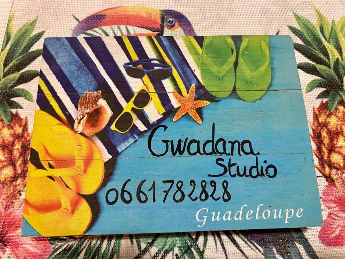 Vue Exclusive Mer Et Volcan, Village Vacances Avec Plage Et Piscine, Les Gwadastudios Сен-Ан Екстериор снимка