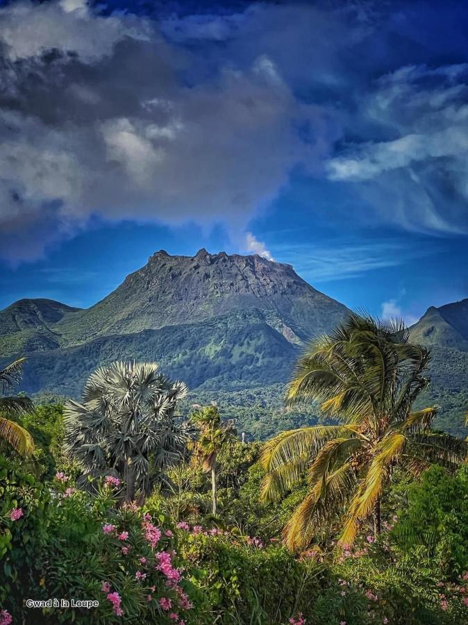 Vue Exclusive Mer Et Volcan, Village Vacances Avec Plage Et Piscine, Les Gwadastudios Сен-Ан Екстериор снимка